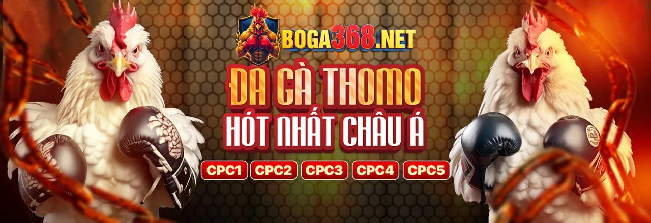 MB6666 Khuyến Mãi 2026: Ưu Đãi Cá Cược Trực Tuyến Hàng Đầu! 🌟